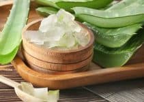 aloe vera health benefits