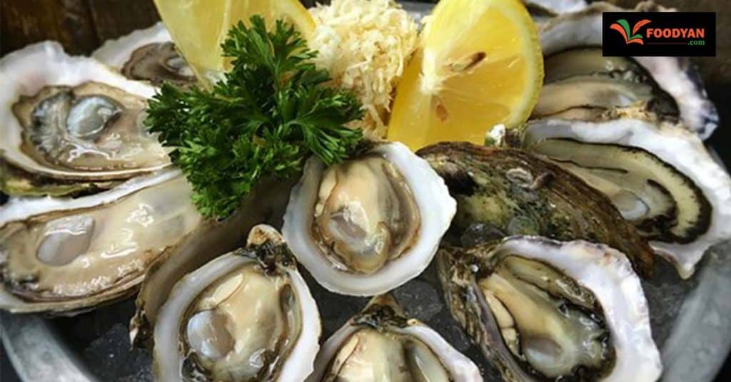 Oysters Health benefits