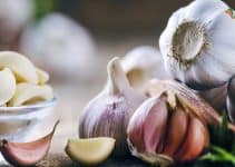 Garlic : Daily life Healthiest superfood