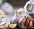 Garlic : Daily life Healthiest superfood